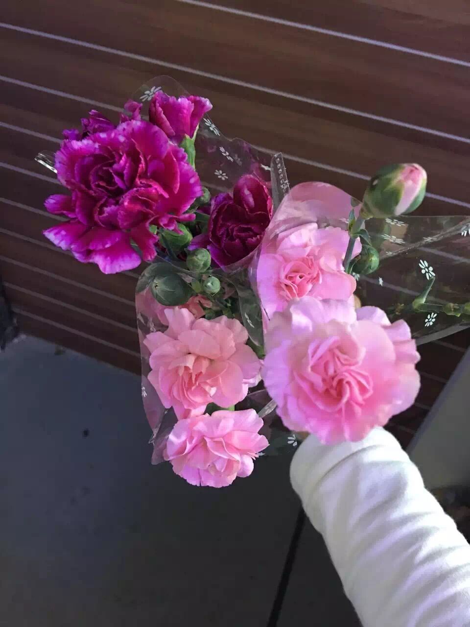 女神節快樂